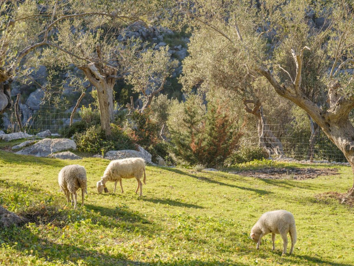 Agroturismo Muleta De Ca S'Hereu Puerto de Sóller Eksteriør bilde