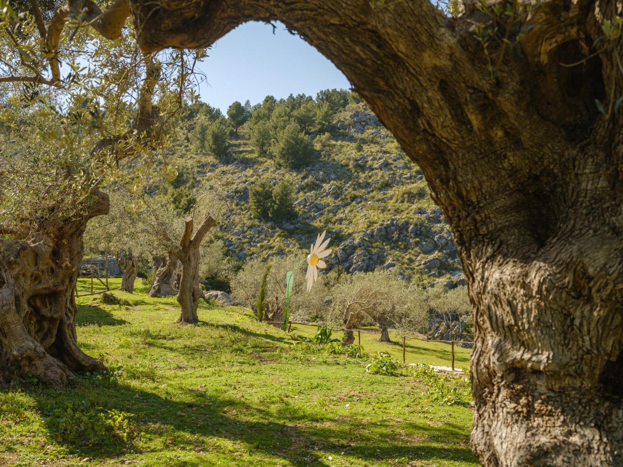 Agroturismo Muleta De Ca S'Hereu Puerto de Sóller Eksteriør bilde